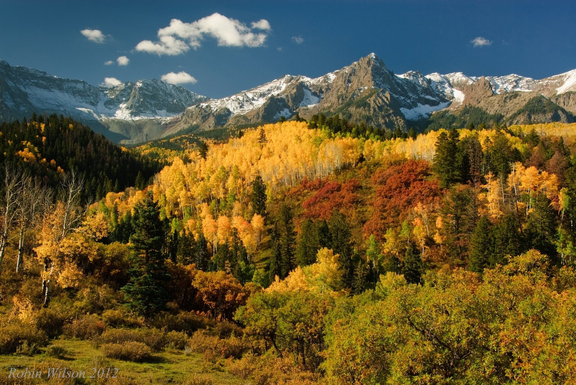 an juan mountains mountain forest tree autumn