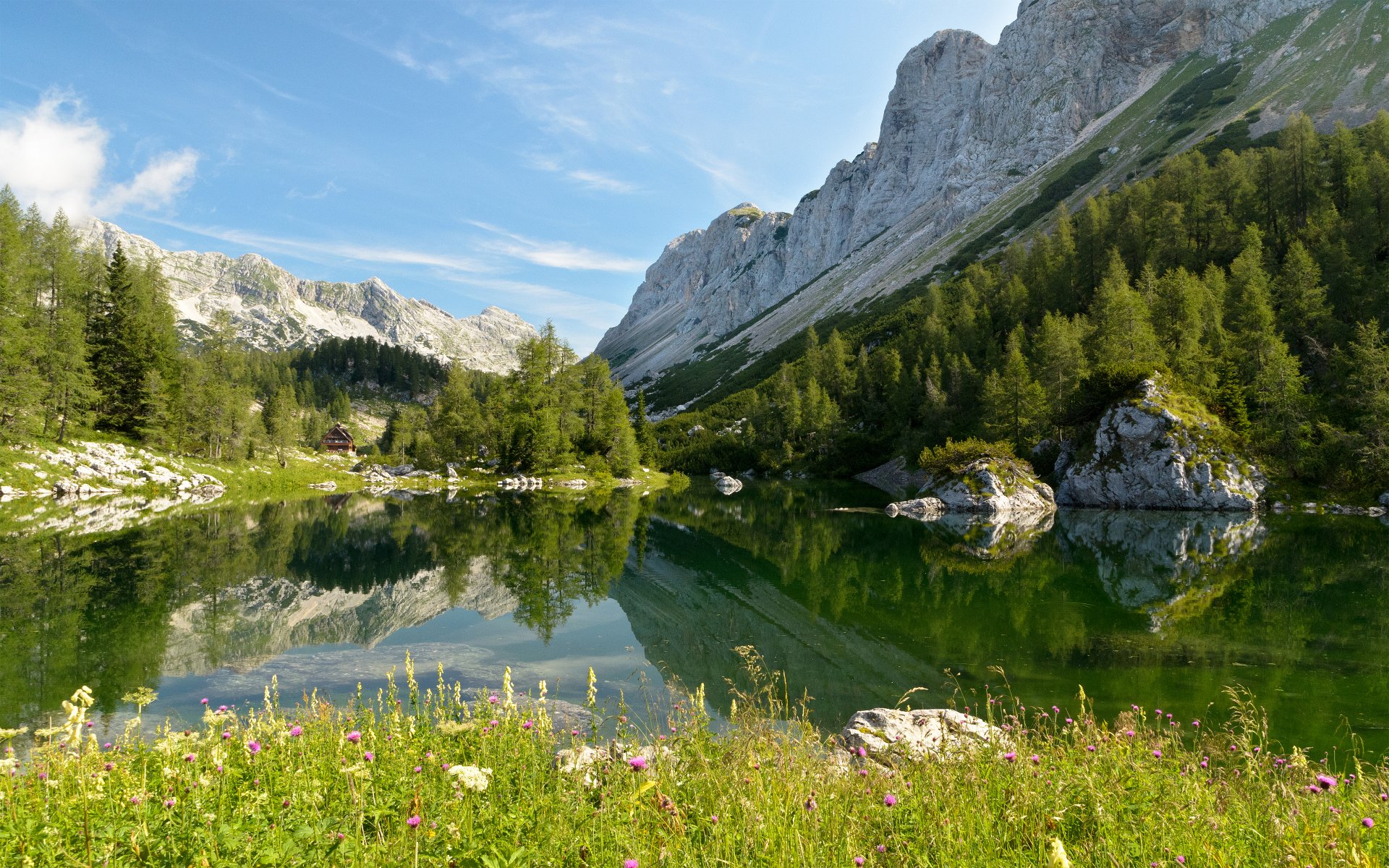 słowenia park narodowy triglav jezioro bohinj republika slovenija park narodowy triglav jezioro bohinj