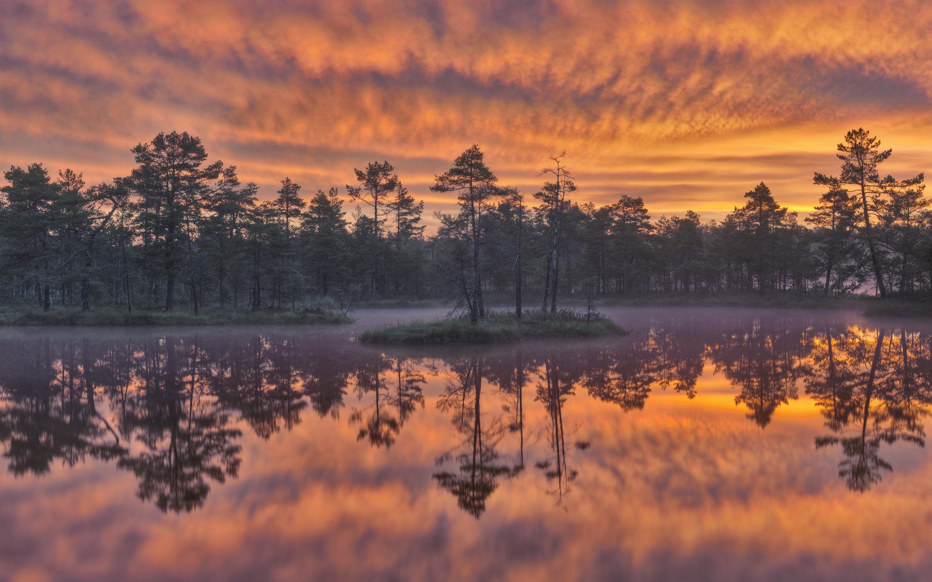 aube knuthöjdsmossen wetland suède lac arbres réflexion coucher de soleil