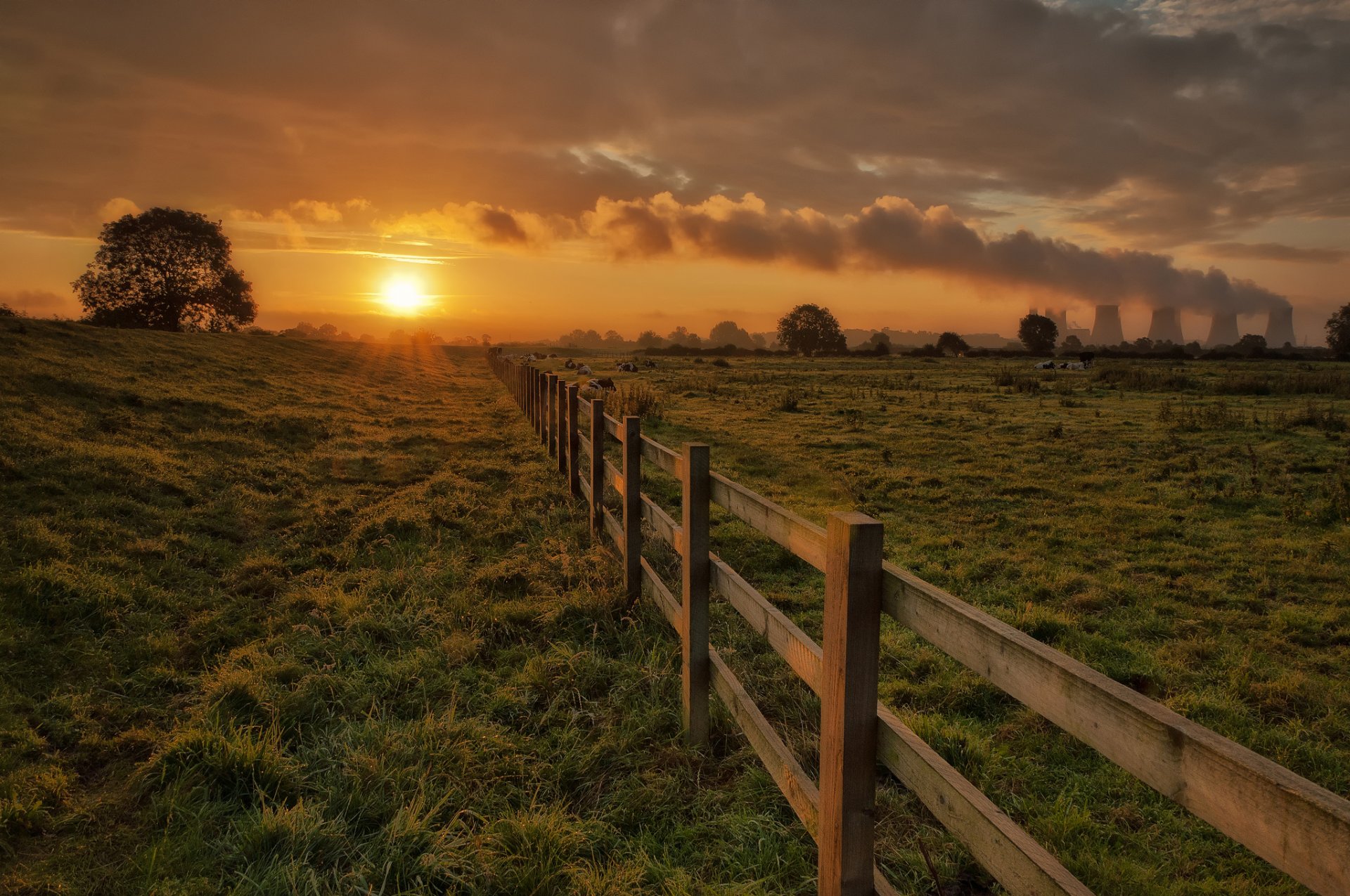 stall zaun zaun kühe gras bäume sonne abend sonnenuntergang himmel wolken rohre rauch