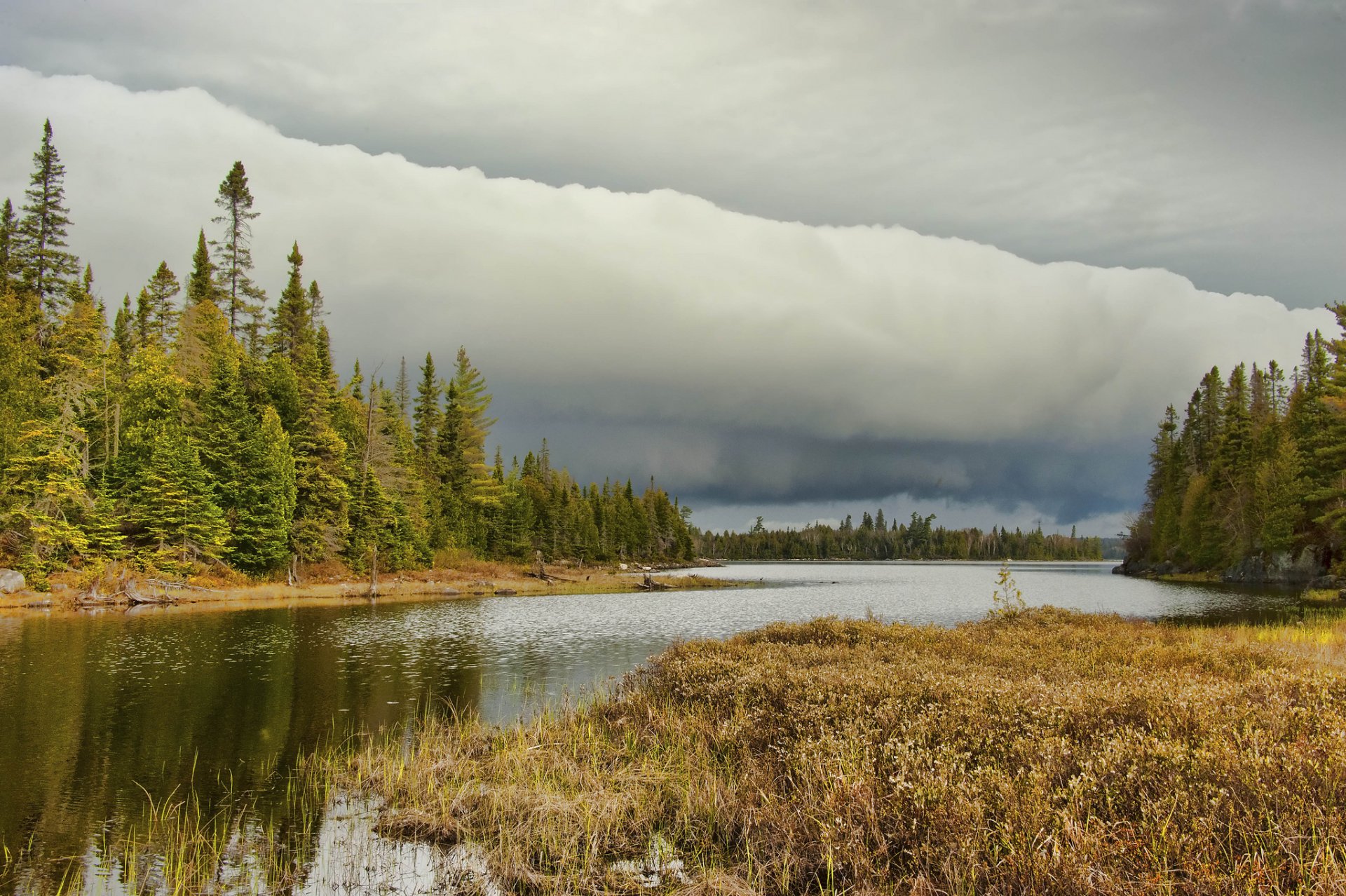 fluss wald bäume wolken