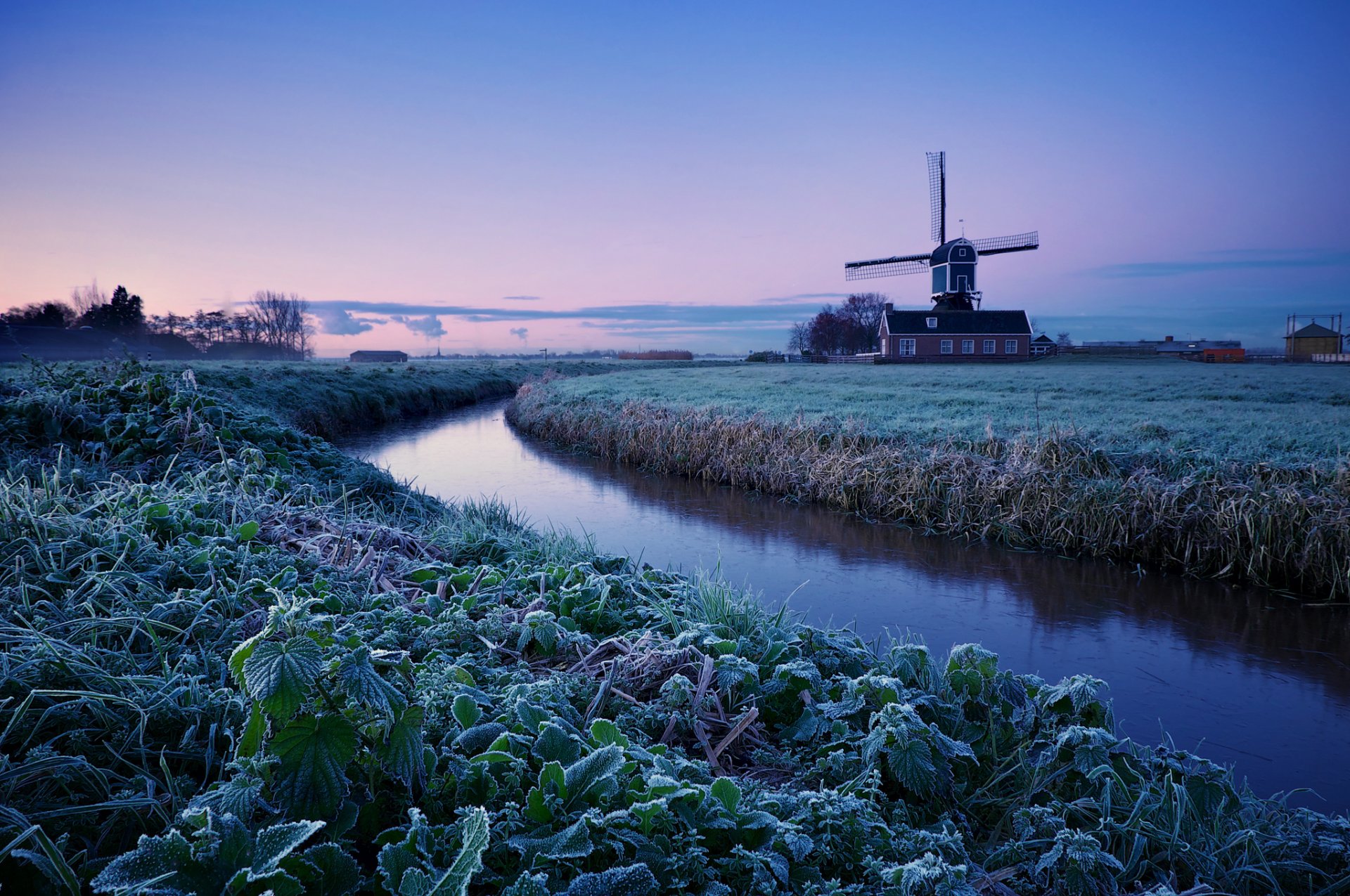 pays-bas hiver matin aube arbres champ givre moulin bleu lilas ciel