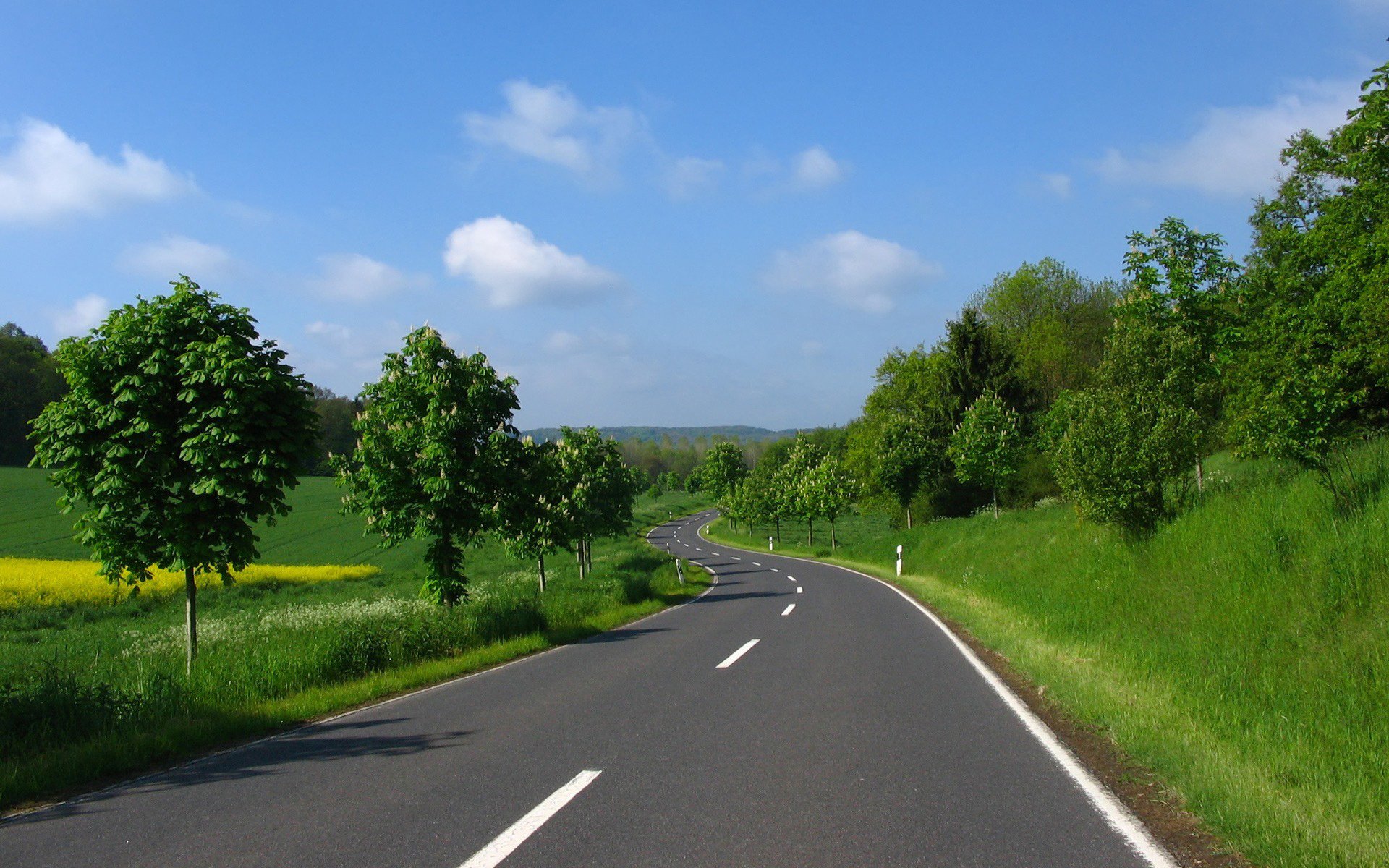 sommer himmel wolken grün bäume gras lichtung straße asphalt markierung