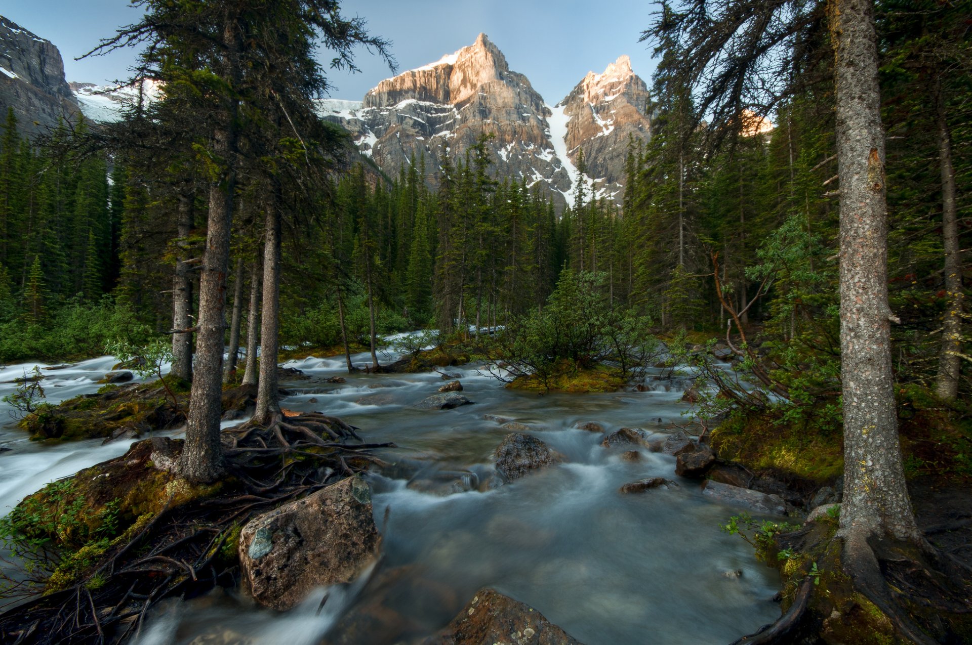 banff national park kanada fluss wald bäume berge