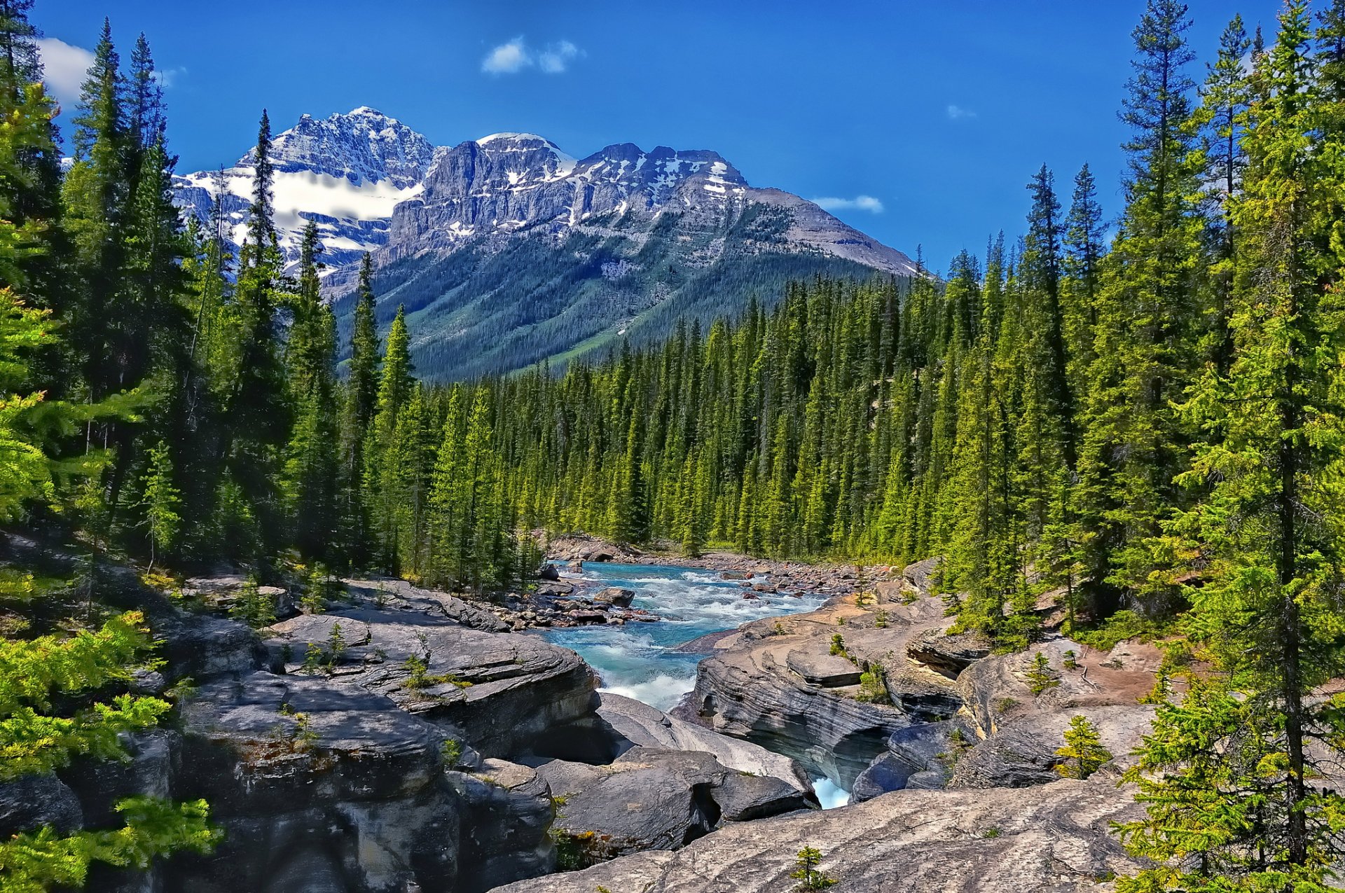 mistaya river alberta canada river mountains forest trees rock