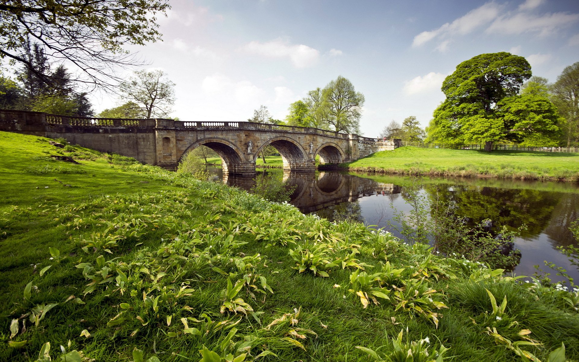 river bridge grass landscape