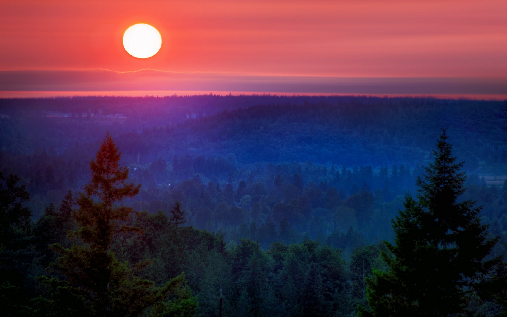 nuit lune montagne forêt paysage