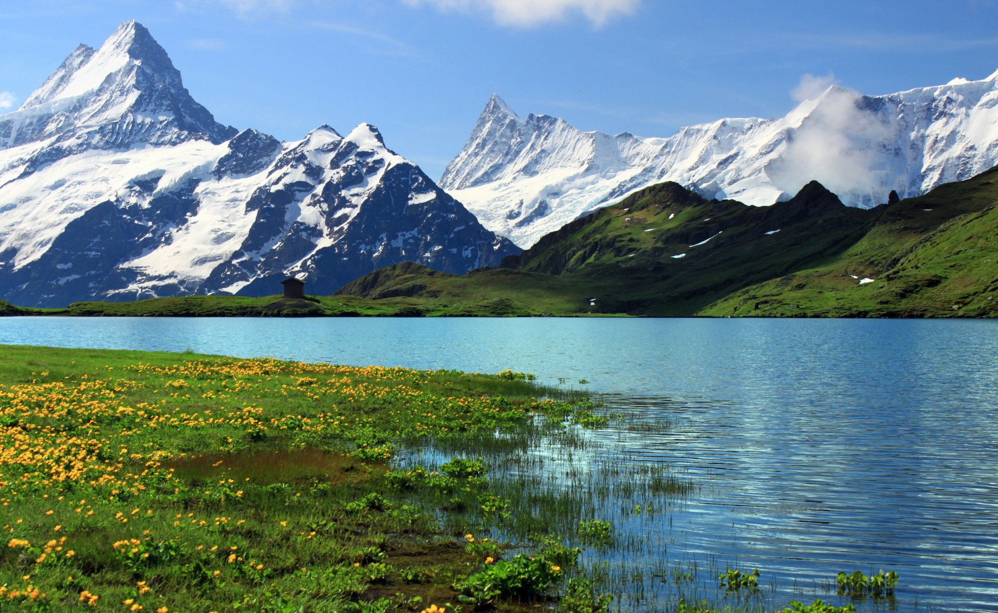 svizzera berna grindelwalt grindnlwald montagne rocce neve fiume erba fiori