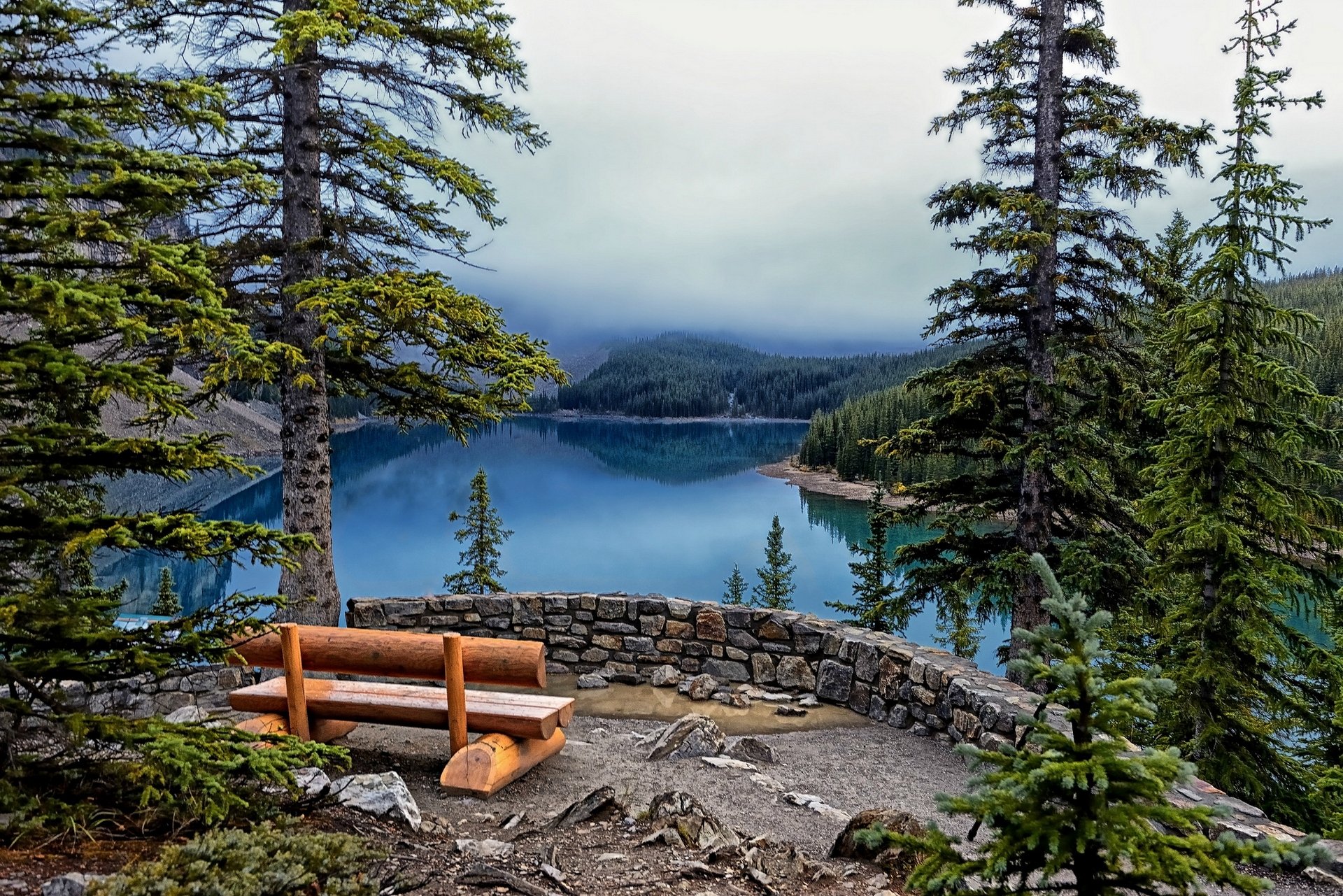 lac moraine parc national banff lac arbres épinettes banc