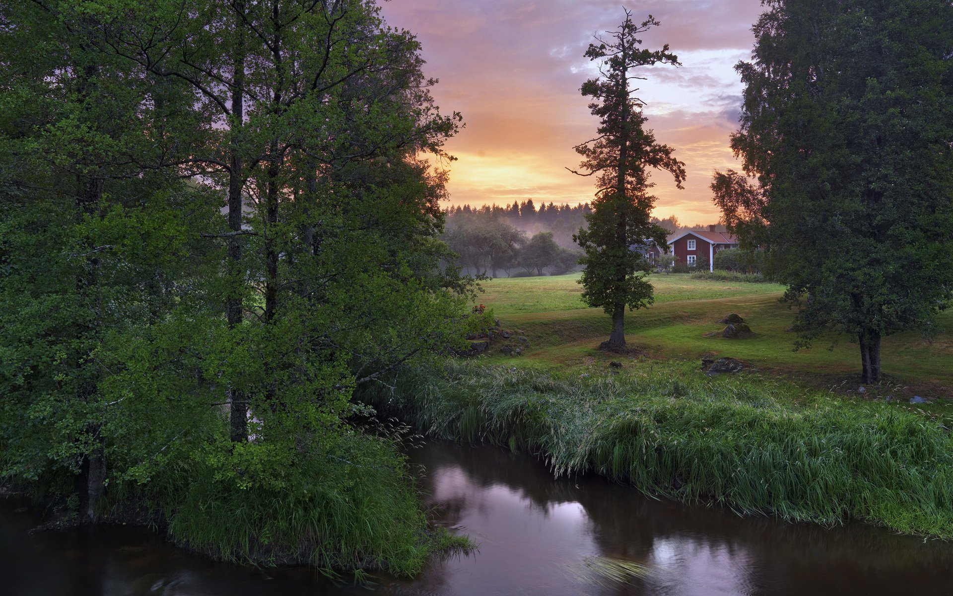 tockås närke svezia fiume alberi