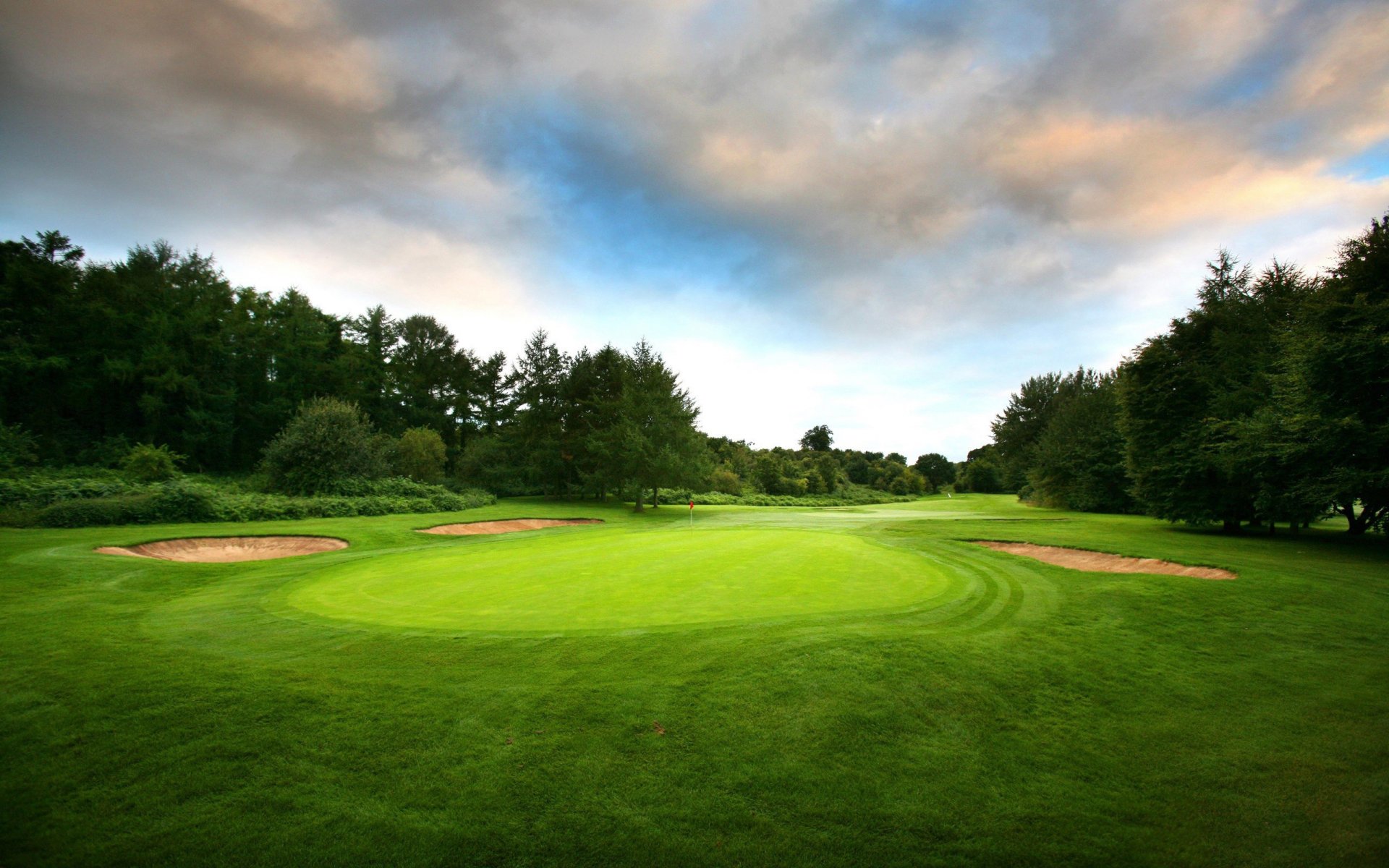 terrain pour golf arbres