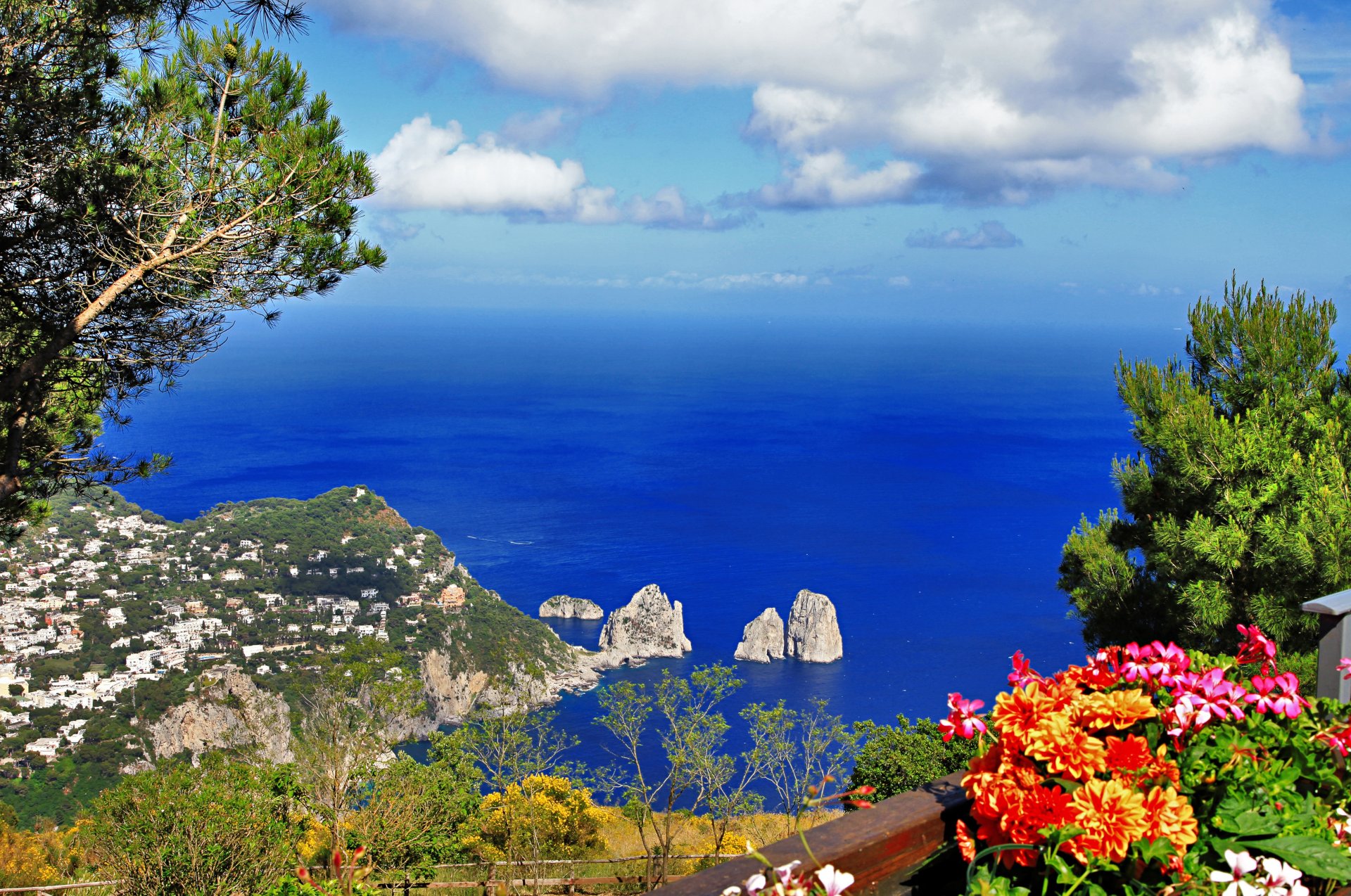 anacapri prowincja di napoli capri włochy miasto wyspa neapol prowincja tyrreński morze skały natura drzewa zieleń kwiaty krajobraz góry niebo