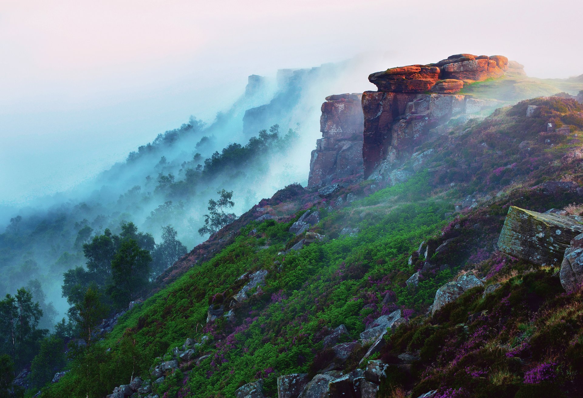 mattina montagne foresta pendio pietre luce nebbia fiori erba