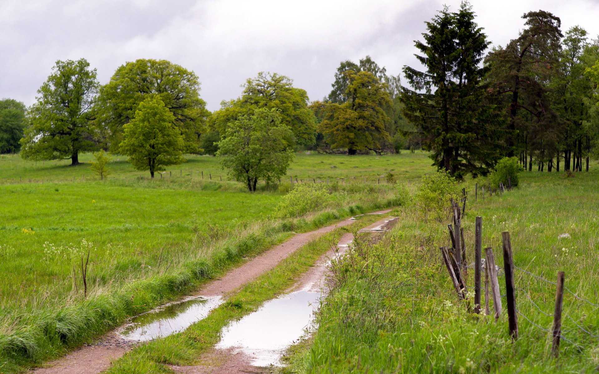 feld straße zaun landschaft