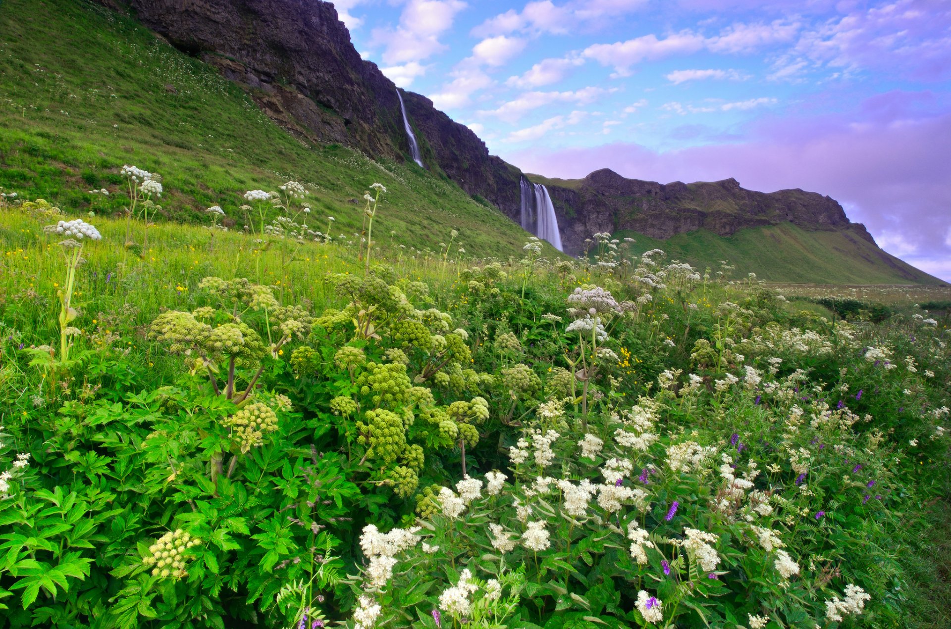 islandia poranek góry wzgórza zieleń trawa kwiaty wodospad niebieski liliowy niebo chmury