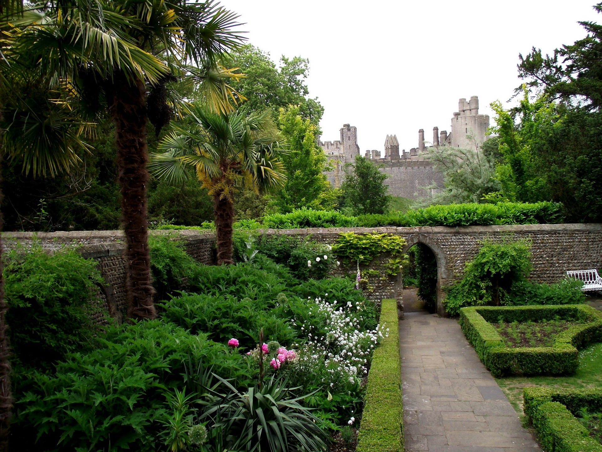 arundel castle rose gardens wielka brytania park drzewa zamek ściana kamień kwiaty palmy