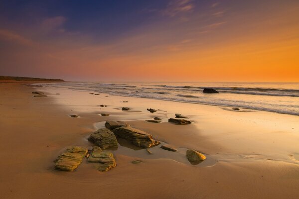 The sandy seashore stretched along the horizon