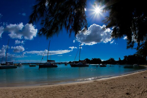 Playa con palmeras y yates con cielo azul