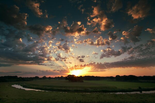 Schöner Sonnenuntergang auf der Wiese