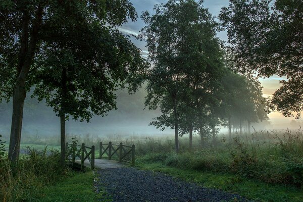 Temprano en la mañana en un campo junto al agua