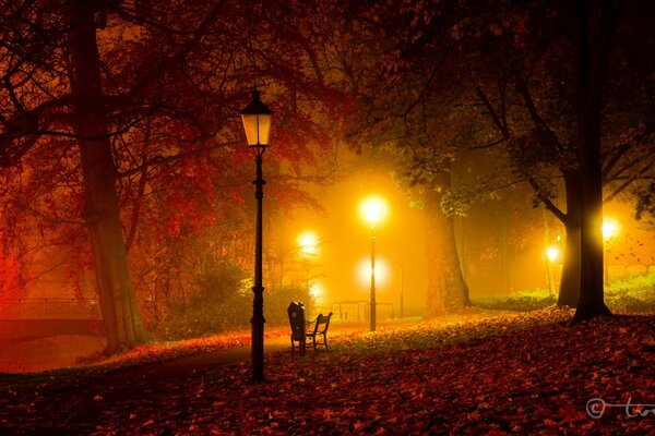 Parco notturno con lanterne e panchina