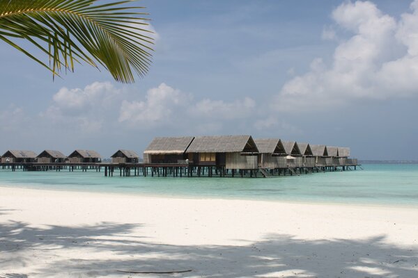 Maldives paradisiaques, bungalows sur pilotis