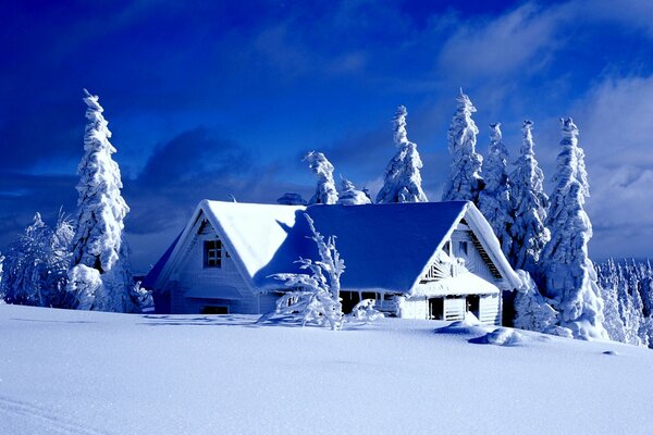 Snow-covered houses in the mountains near fir trees