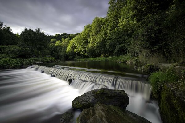 Forest landscape - river waterfall