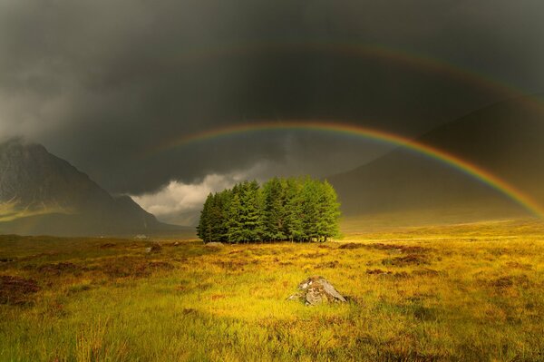 Arc-en-ciel dans le ciel sombre au-dessus du champ