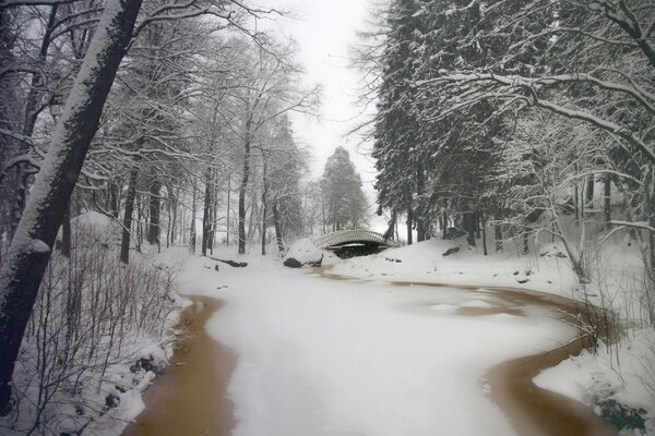 Park im Winter. Mit Brücke und Bäumen