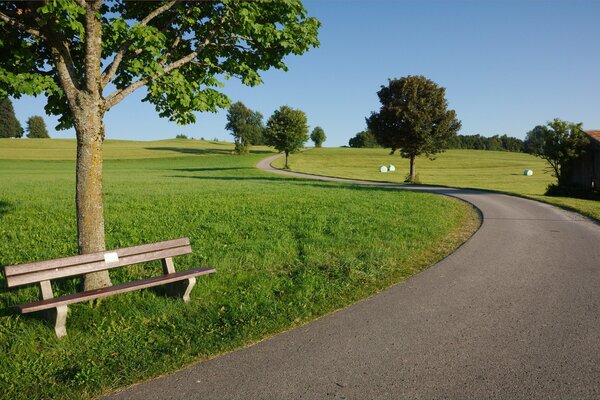 Green sunny park and bench