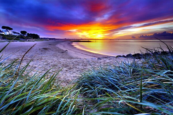 Zdjęcie wybrzeża z pięknym zachodem słońca i jasnymi kolorami natury