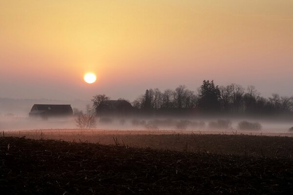 Niebla en el campo. Hermoso paisaje al atardecer