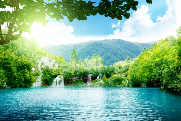 Mer bleue avec cascade et forêt verte