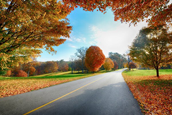 Paysage d automne lumineux le long de la route