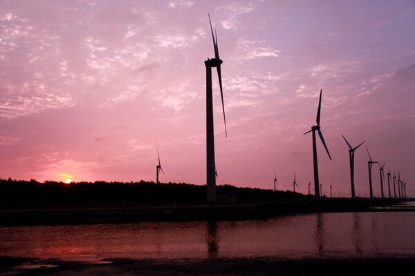 Windmills on the background of a pink sunset