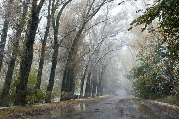 Granita nel vicolo d autunno