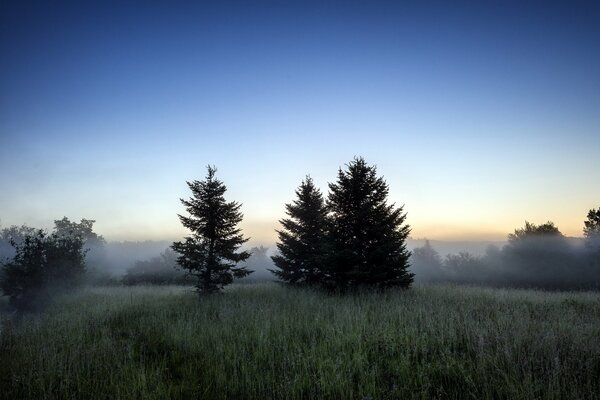 Paesaggio mattutino nel campo