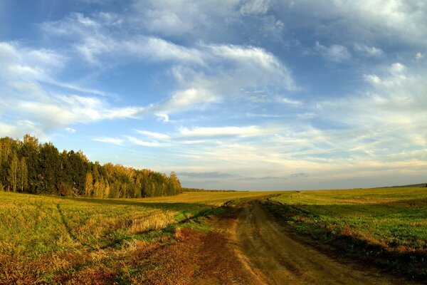 A country road crosses fields