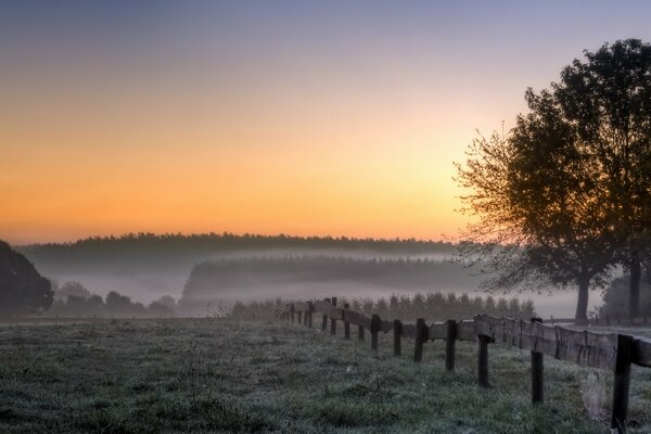 Mattina nebbiosa sul campo paesaggio