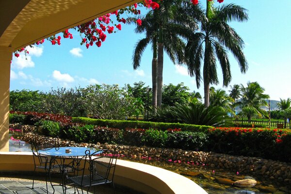 Красивое крыльцо отеля с видом на пальмы