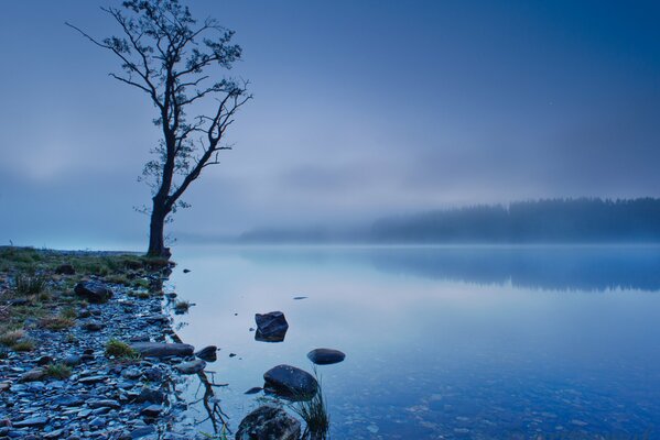 Schottischer See im nebligen Blau