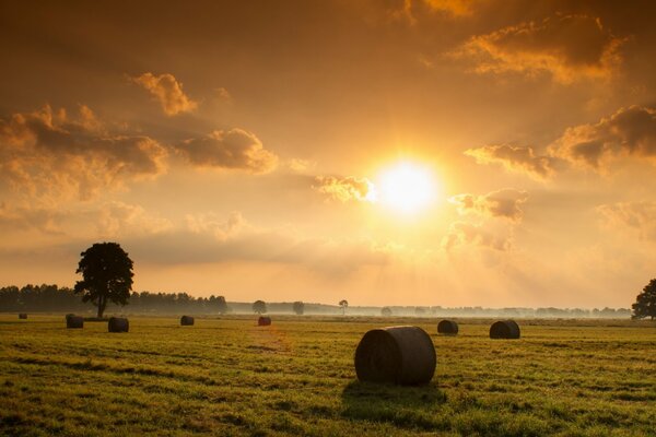 Foin sur le terrain avec paysage coucher de soleil