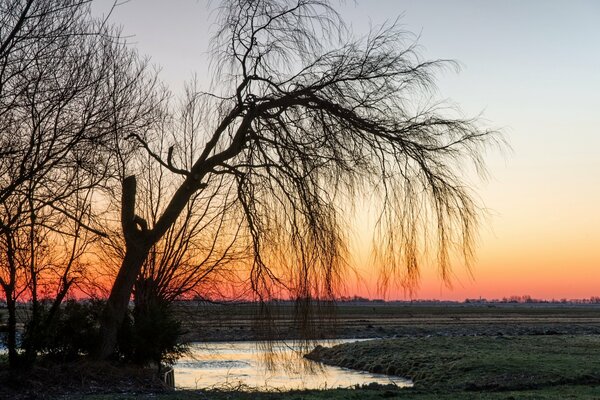 Paysage de coucher de soleil dans le champ