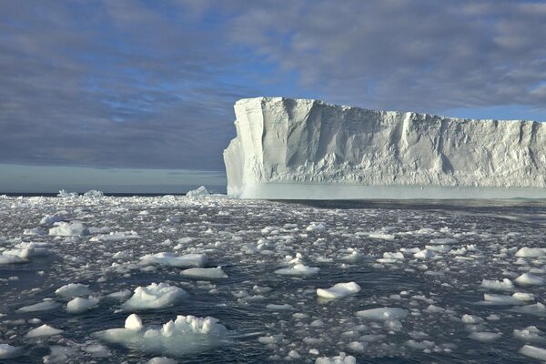 Iceberg in mare intorno galleggianti grandi banchi di ghiaccio