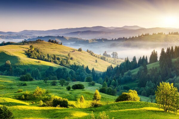 Landschaft der Morgendämmerung auf den Hügeln