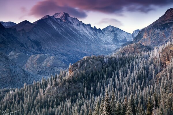 Mountain landscape on the hall in winter