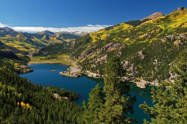 A lake in a green forest in the mountains