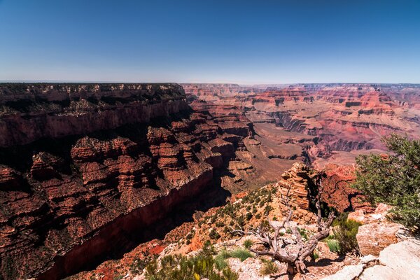 Grand Canyon de l Arizona États-Unis