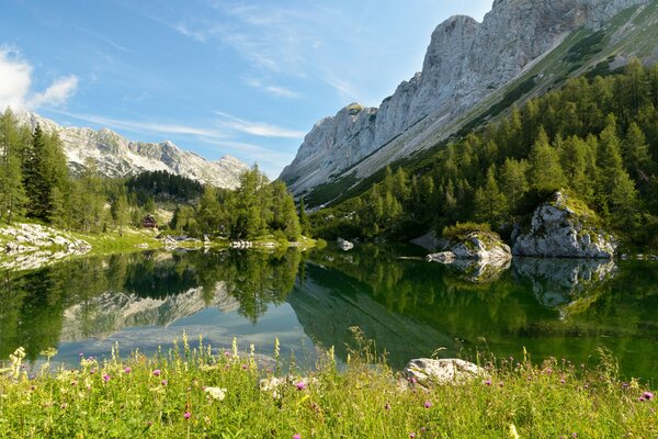 Lago Bohinj en el parque nacional de Eslovenia